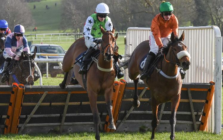 Chepstow and Ffos Las Racing Club horse, Baboin, wins at Uttoxeter Racecourse