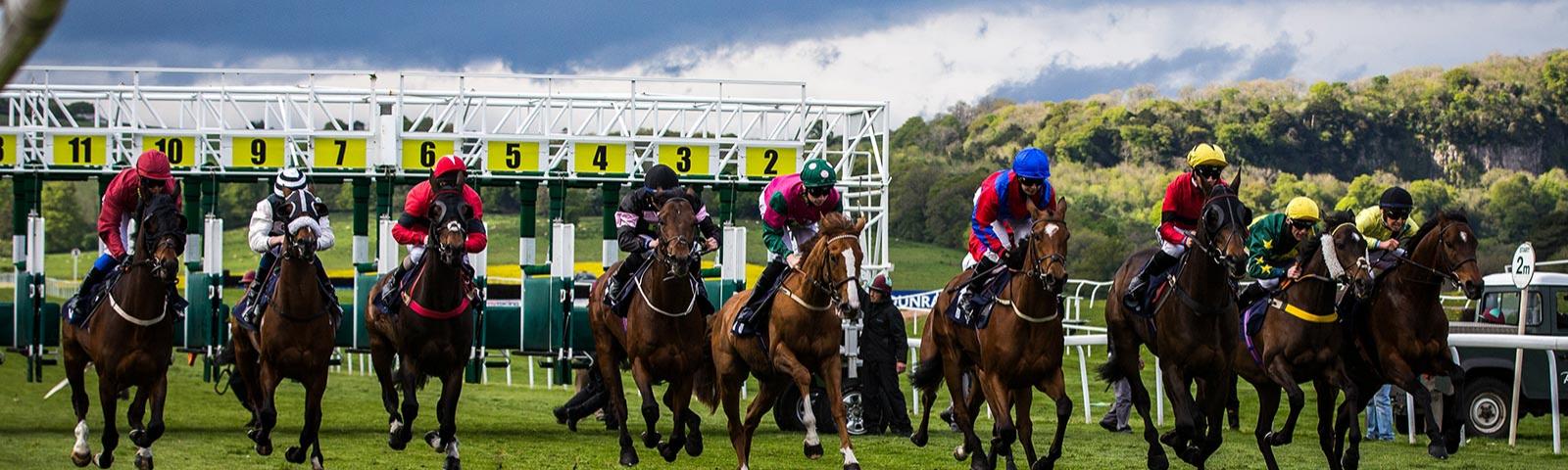 Group of jockeys starting a race.