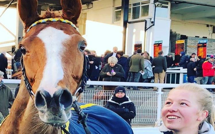 A handler looks proudly at their horse as the horse stares into the camera