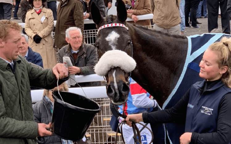 A trainer refreshes his horse