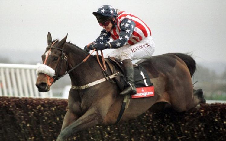 A horse jumping a fence