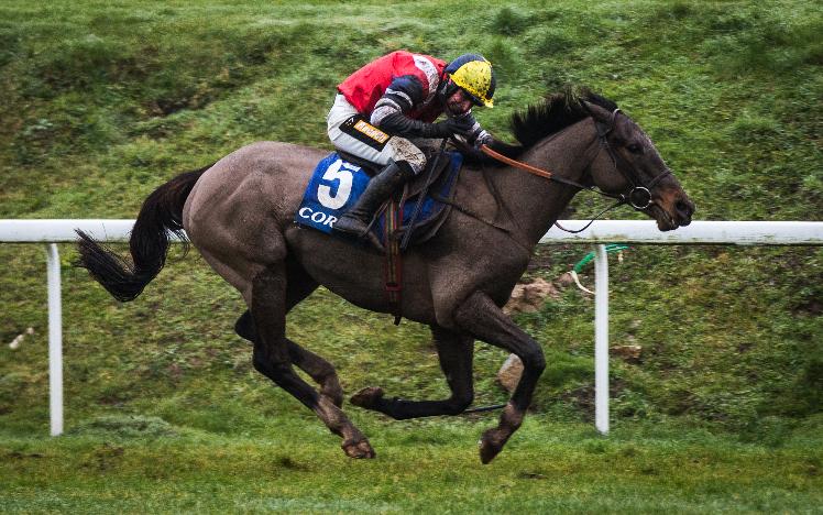 Potters Corner is the first horse trained in Wales to win the race since 1973