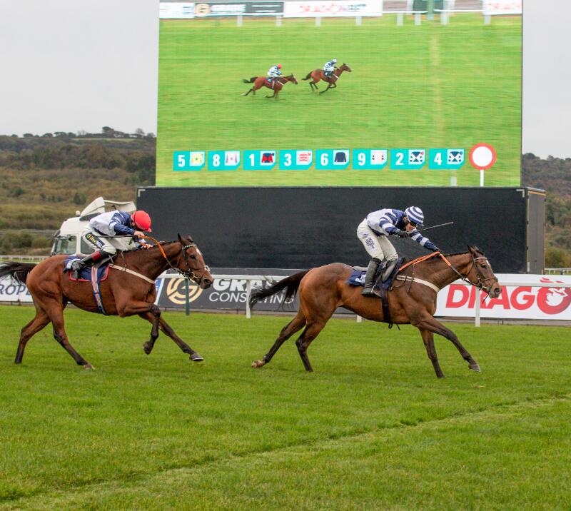 Steel Ally wins the Dragonbet Welsh Champion Hurdle in 2024
