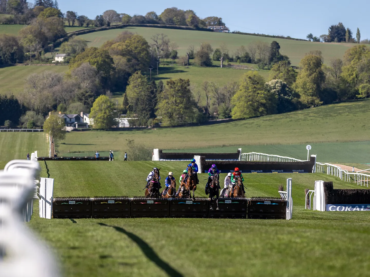 horse racing 