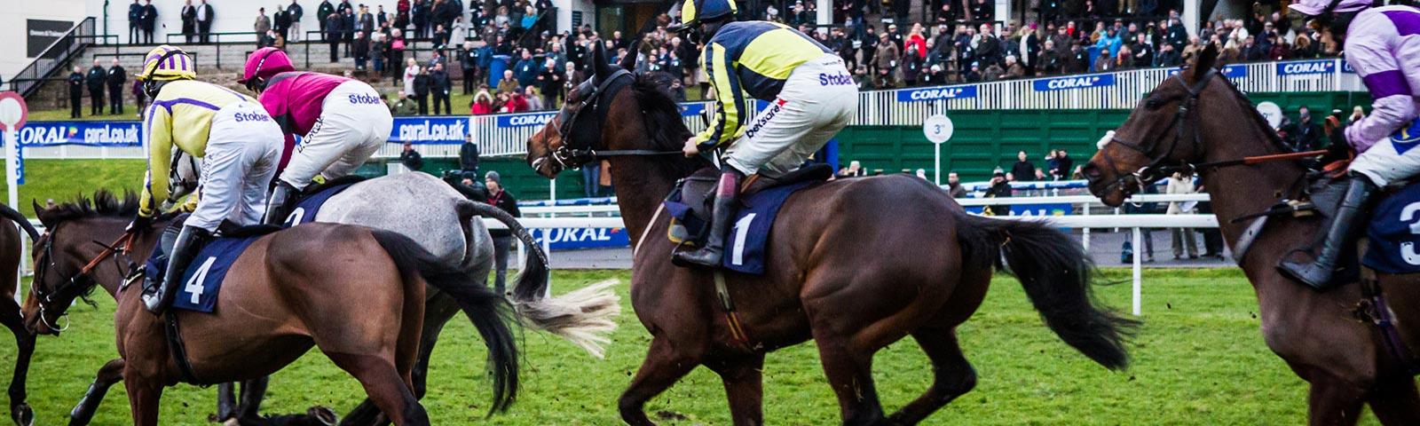 4 Horses galloping in touching distance of the finishing post.