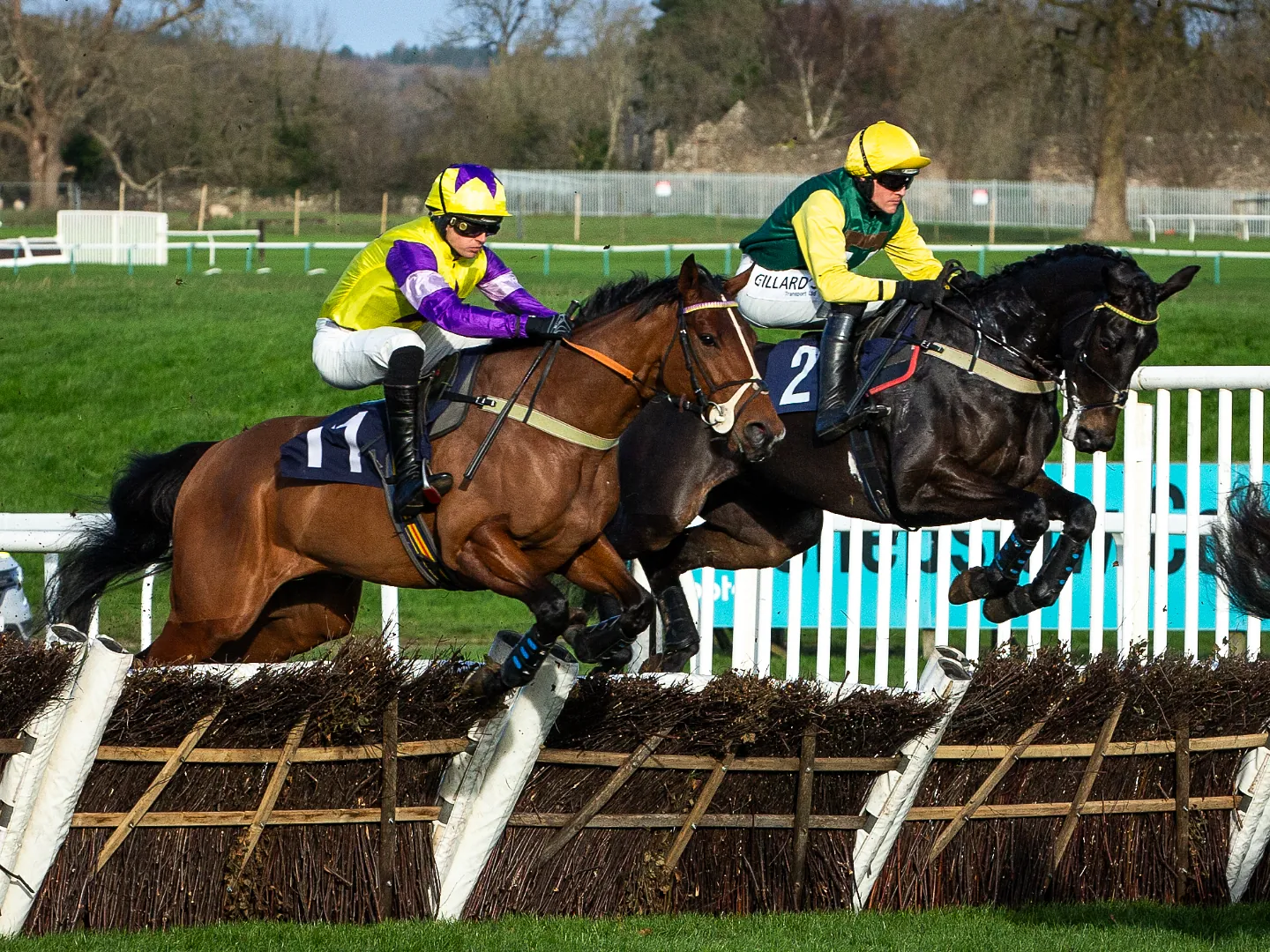 horse racing 