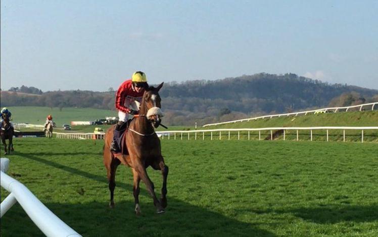 A horse leads the pack in a race down the straight at Chepstow Racecourse