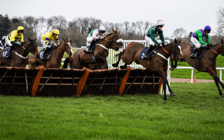 Five horses jumping a fence at the same time