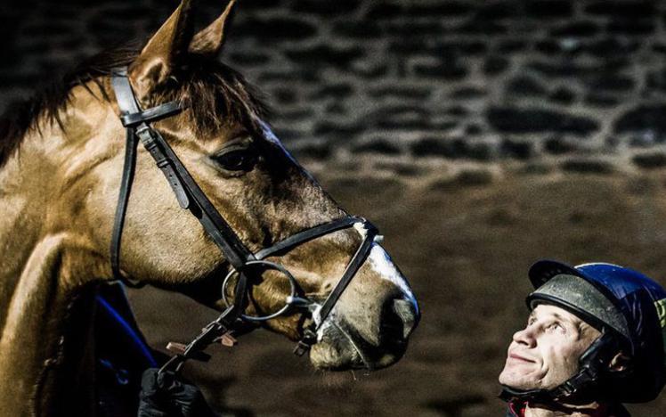 A Jockey proudly looks up at his stunning horse