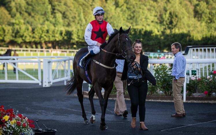 Glamorous Anna at Chepstow Racecourse