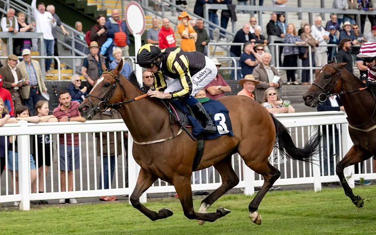 horse racing 