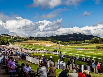 racecourse 