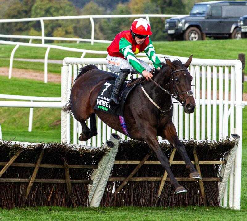Flying Fortune at the Welsh Racing Festival