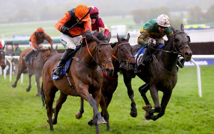 Top horse Tobefair has excelled past his owners' wildest dreams