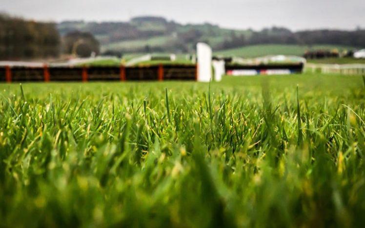 The green turf of Chepstow Racecourse with a fence hurdle in the background.