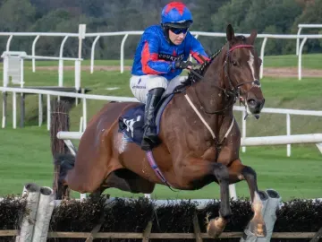 Horse jumping over hurdle