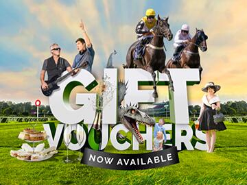 Early January Sale  Chepstow Racecourse