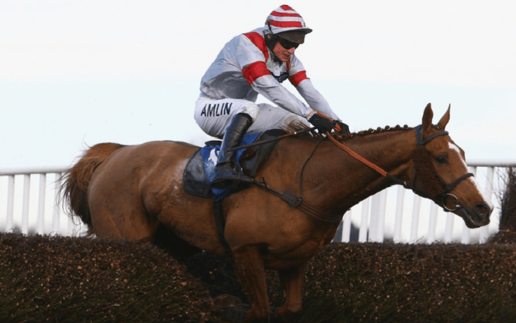 A horse lands after jumping a fence