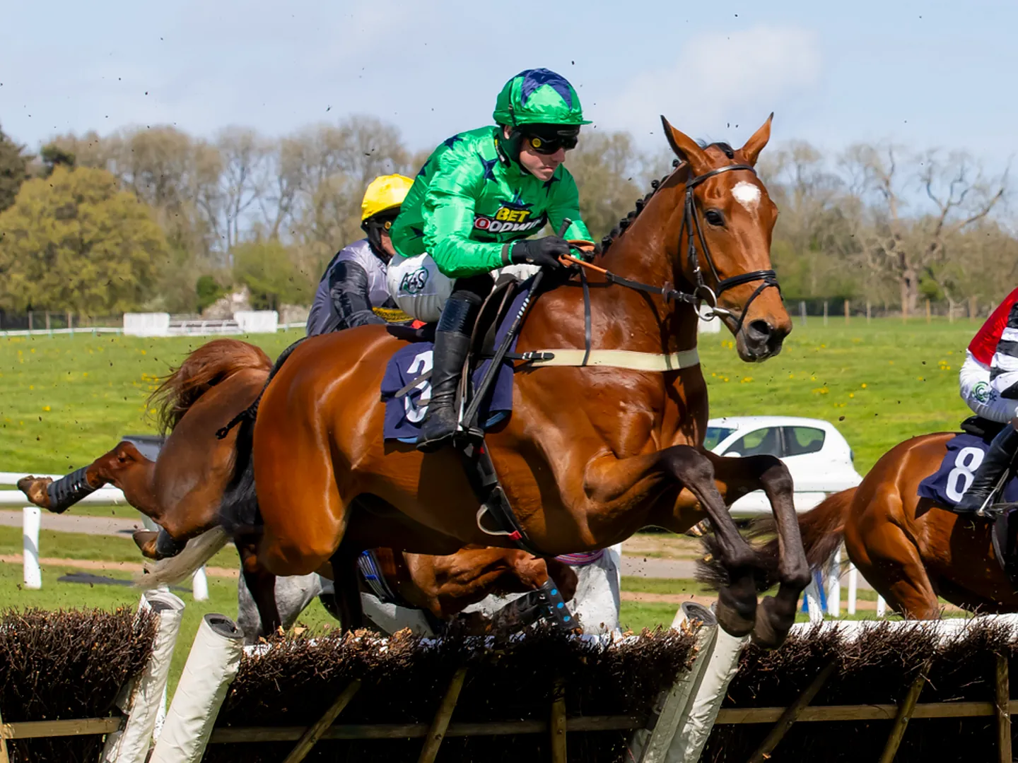 horse racing 