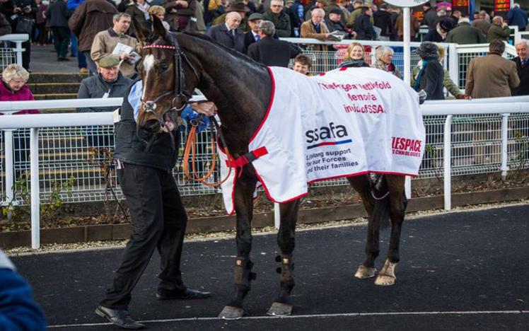 A horse is led around the parade area