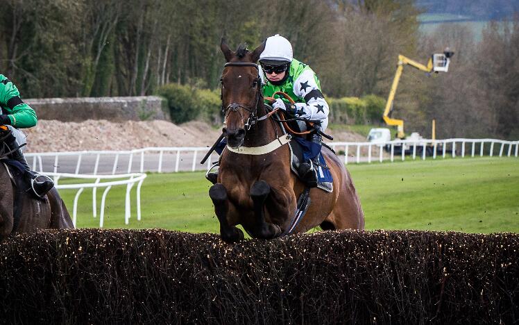 Danboru at Chepstow Racecourse