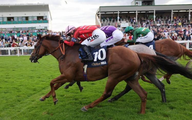 Team Wales + The West look to extend their lead in Chepstow's first Racing League Fixture