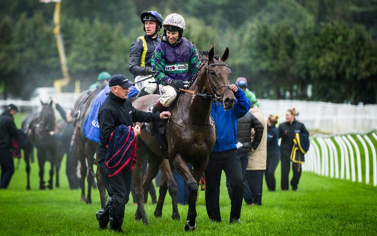 Thyme Hill at Chepstow Racecourse