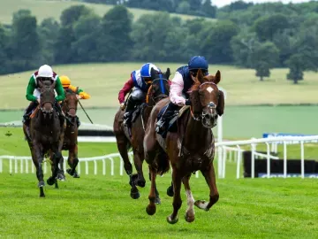 Flat Racing at Chepstow racecourse