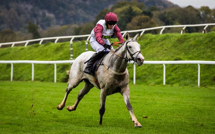 Silver Streak Chepstow Racecourse