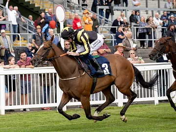 horse racing 
