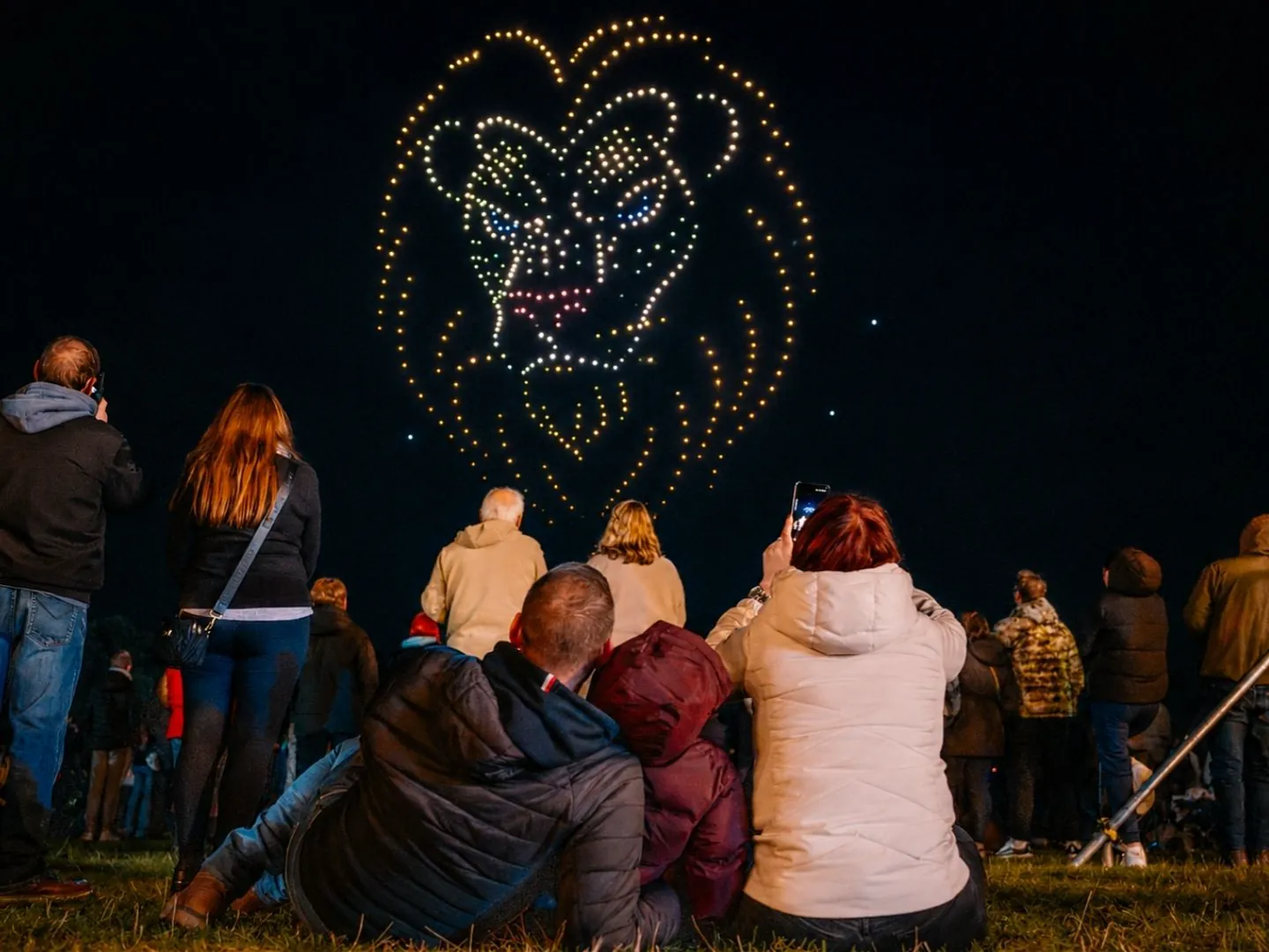 space safari drone show at chepstow racecourse 2027 artwork