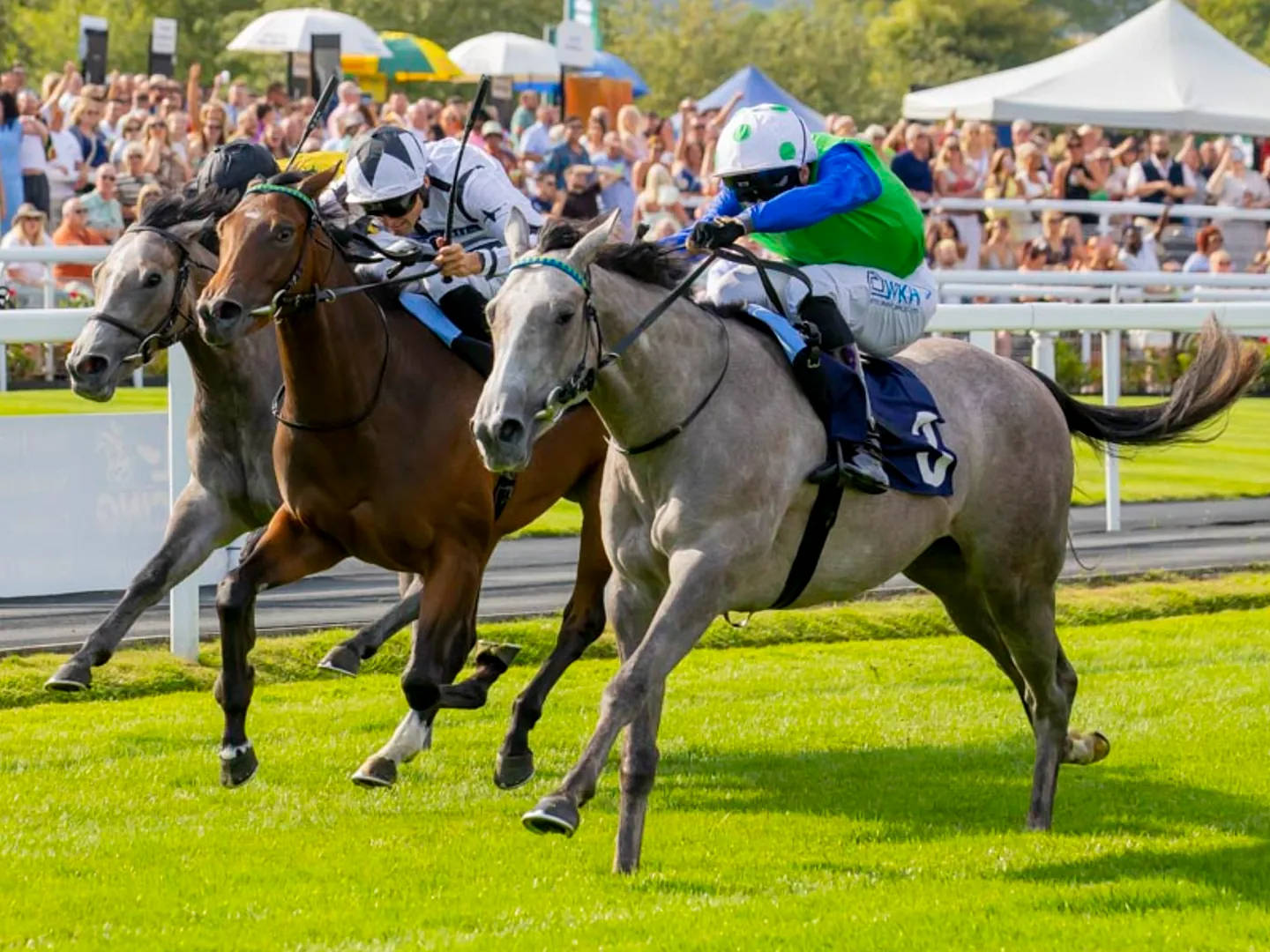 horse racing 