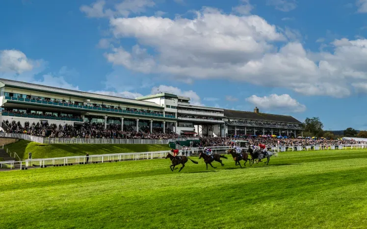 Runners at Chepstow Racecourse