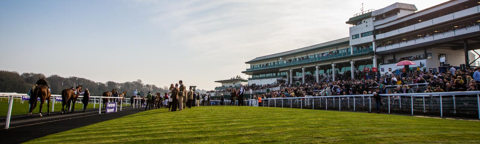 Come and watch Wales v Ireland whilst at the races!