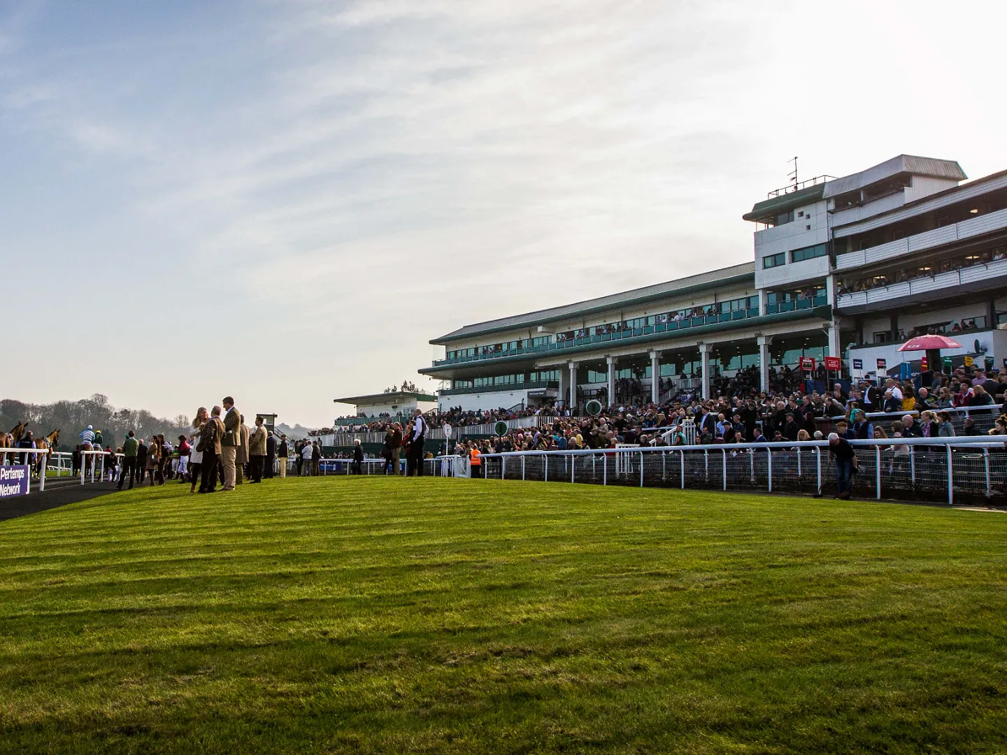 horse racing 